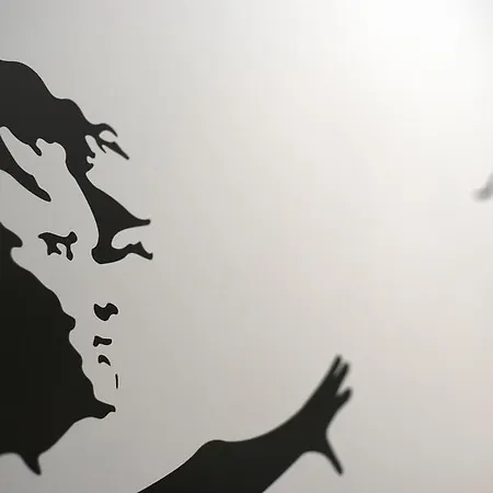 斗兽场大街住宿加早餐旅馆 住宿加早餐酒店 罗马